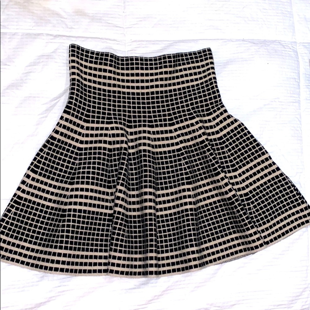 Max Studio Skirt